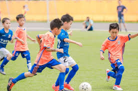bsports必一体育 乒乓球台内挑打下旋球
